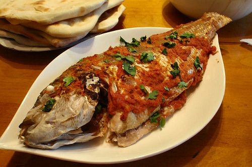 سمكة حرة