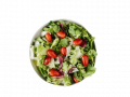 starter